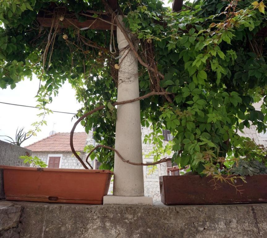 Apartman Muco Varos *